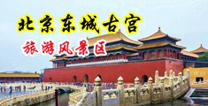 屌插中国北京-东城古宫旅游风景区